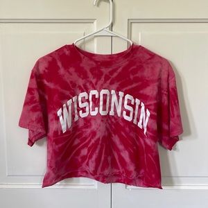 Wisconsin Bleach Dye Crop